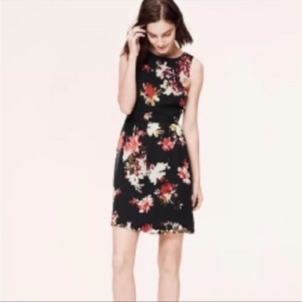Beautiful Floral Fit & Flare Sleeveless Dress From Loft 10p